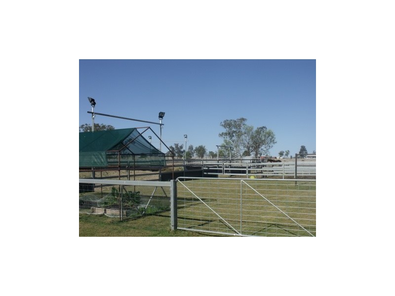 130 Woodside Road, Roma QLD 4455