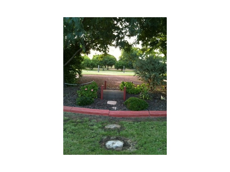 156 Geoghegan Road, Roma QLD 4455