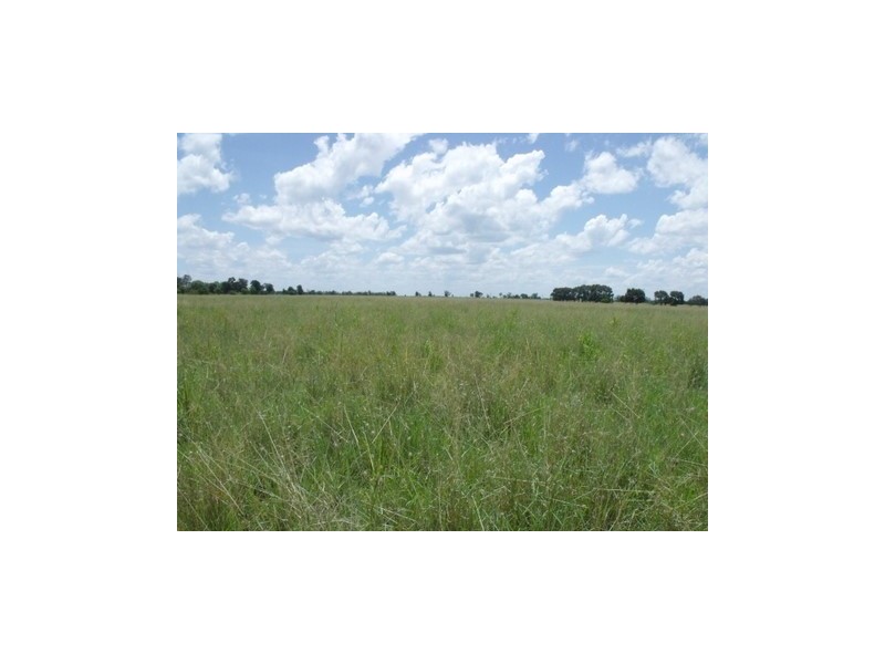 Wallumbilla QLD 4428