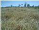 2034 Dunkeld Road, Tingun QLD 4455