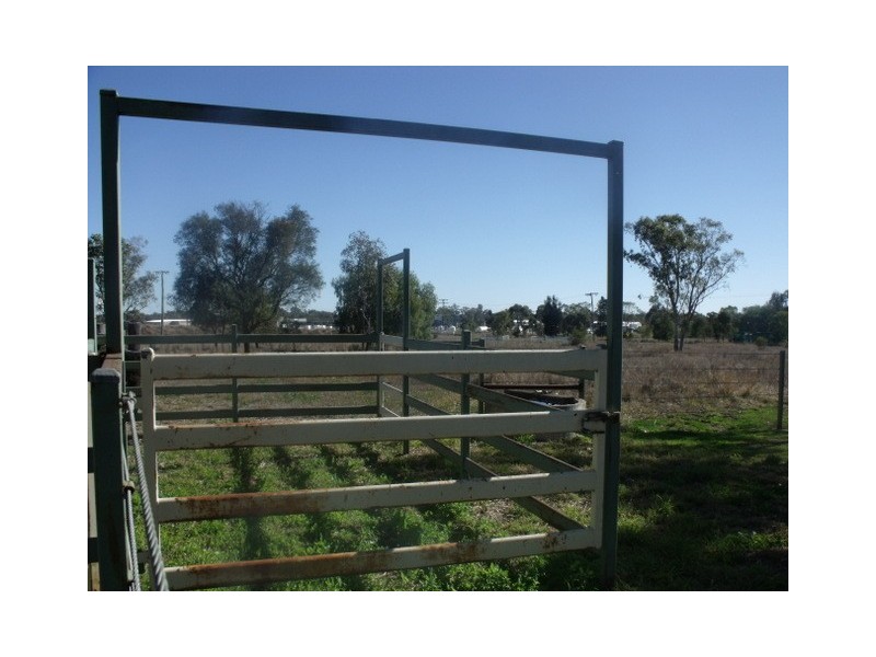 4 Roslyn Drive, Roma QLD 4455