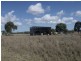 0 Richardson’s Lane, Roma QLD 4455