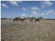 0 Richardson’s Lane, Roma QLD 4455