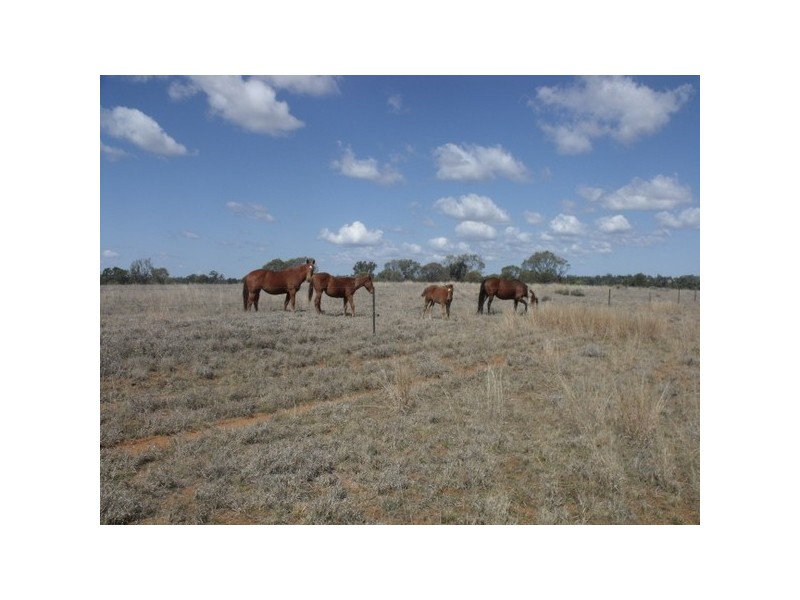 0 Richardson’s Lane, Roma QLD 4455