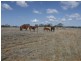 0 Richardson’s Lane, Roma QLD 4455