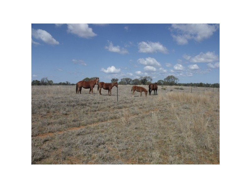 0 Richardson’s Lane, Roma QLD 4455