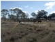 0 Richardson’s Lane, Roma QLD 4455