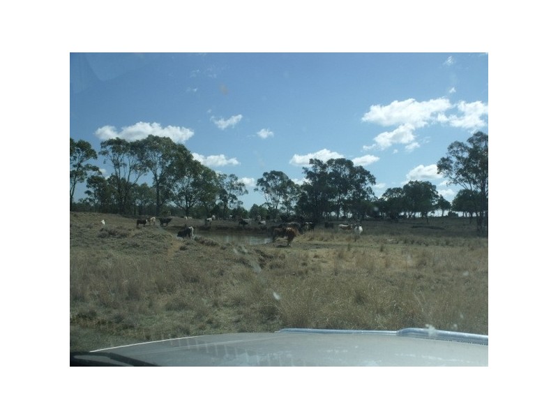 0 Richardson’s Lane, Roma QLD 4455