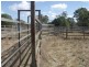 0 Richardson’s Lane, Roma QLD 4455