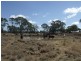 0 Richardson’s Lane, Roma QLD 4455