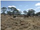 0 Richardson’s Lane, Roma QLD 4455