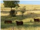 Roma QLD 4455