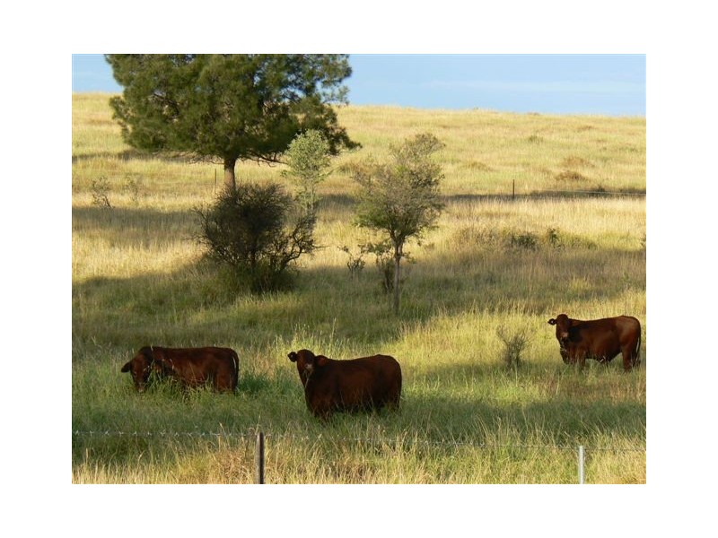 Roma QLD 4455