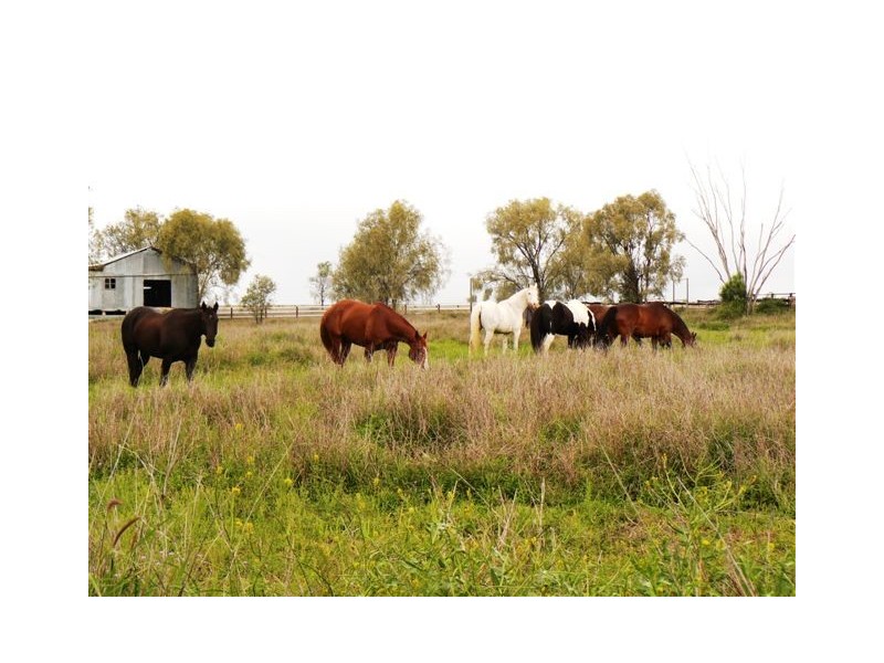 Roma QLD 4455