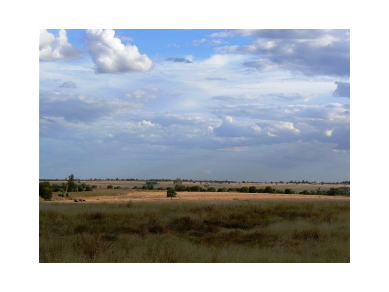 Roma QLD 4455