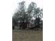 Roma QLD 4455