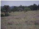 Roma QLD 4455