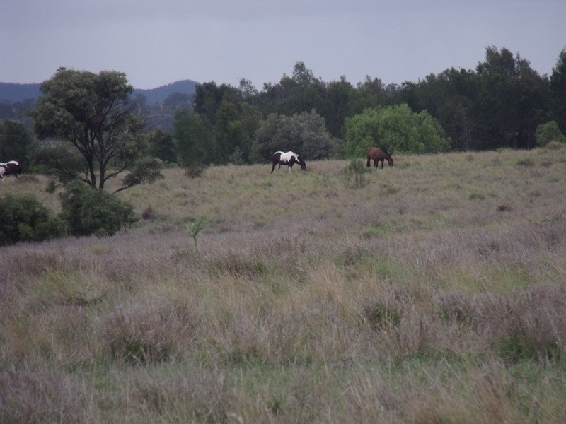 Roma QLD 4455