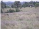 Roma QLD 4455