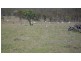 0 Cullendore Road, Elbow Valley QLD 4370