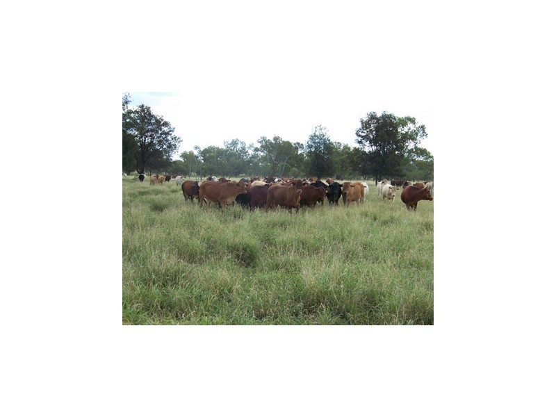 Pembroke Maranoa Road, Roma QLD 4455