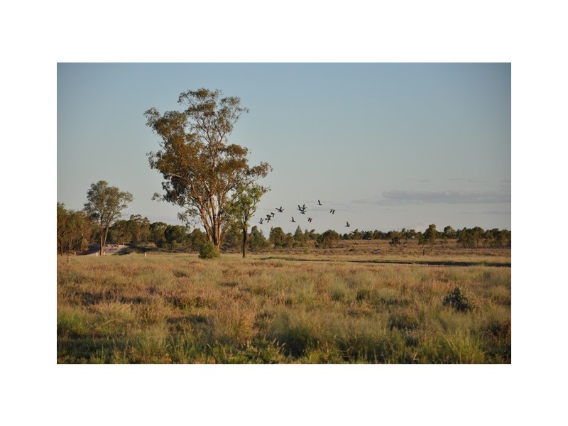 Pembroke Maranoa Road, Roma QLD 4455