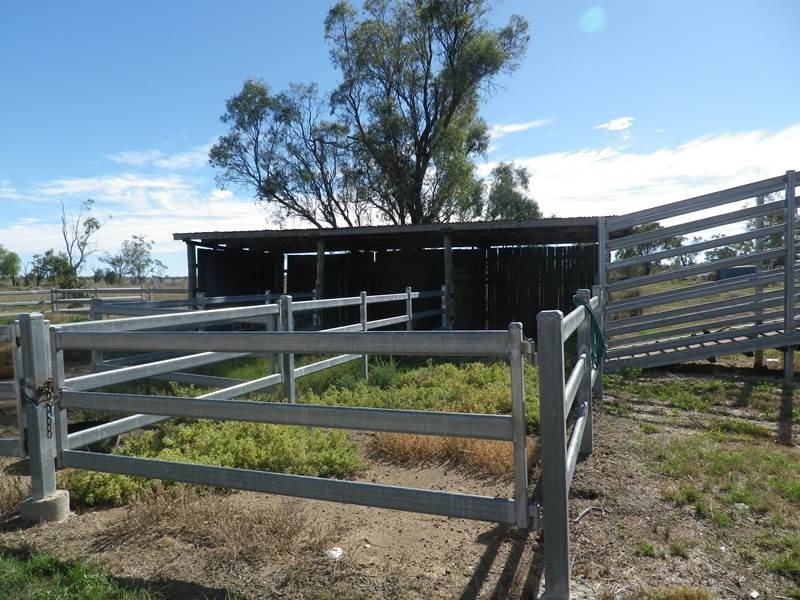 13-15 Maiden Street, Roma QLD 4455