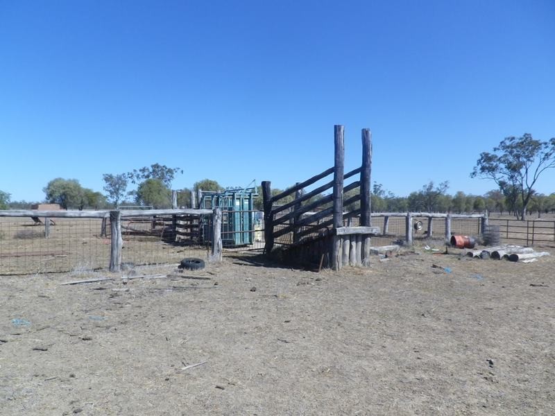 1823 Blue Hills Road, Roma QLD 4455