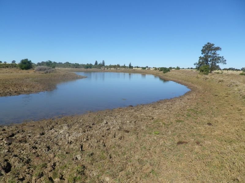 0 Stakeyard Road, Wallumbilla QLD 4428