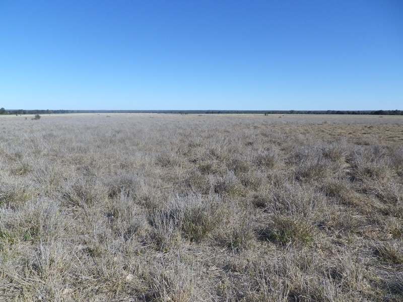 0 Stakeyard Road, Wallumbilla QLD 4428