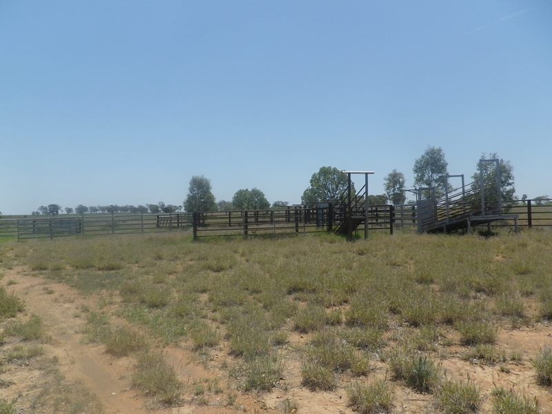 970 Dargal Road, Roma QLD 4455