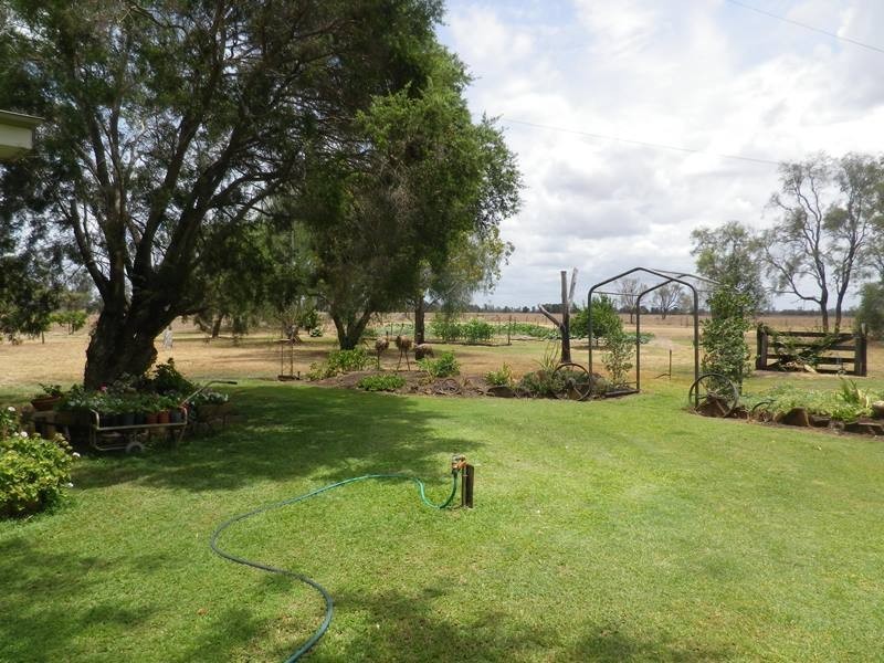 229 Dulacca South Road, Dulacca QLD 4425