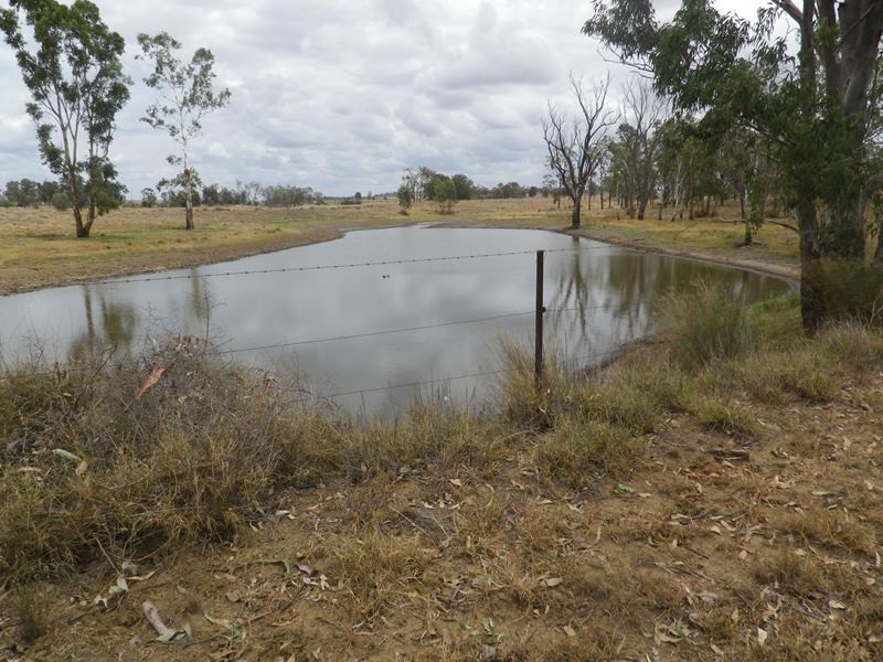 229 Dulacca South Road, Dulacca QLD 4425