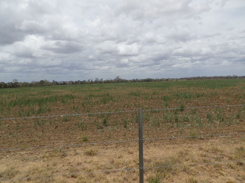 229 Dulacca South Road, Dulacca QLD 4425