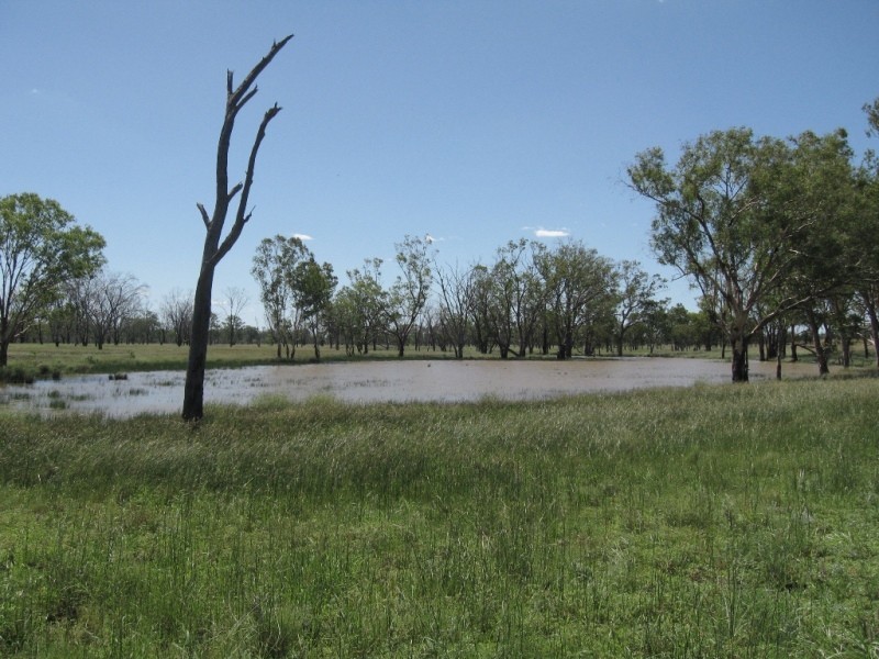 421 Oberina Road, Roma QLD 4455