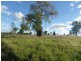407 Lanfeef Road, Roma QLD 4455