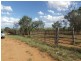 407 Lanfeef Road, Roma QLD 4455