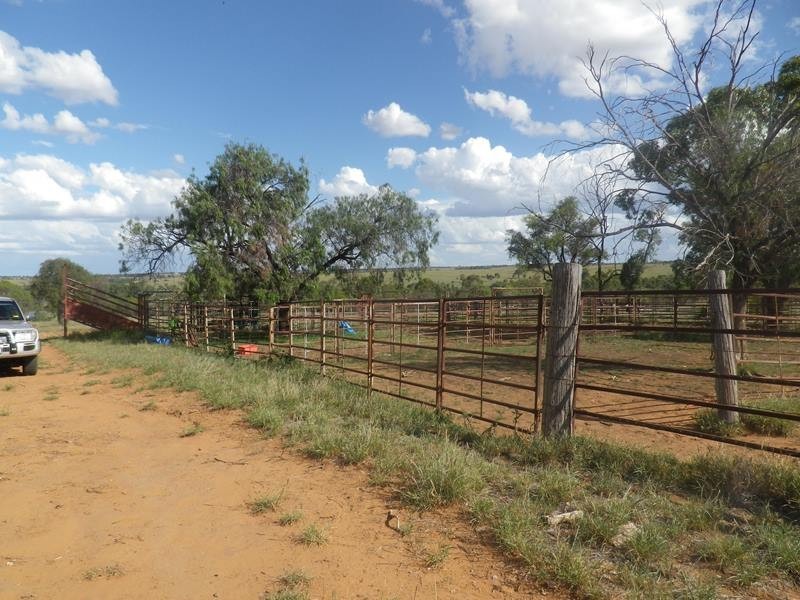 407 Lanfeef Road, Roma QLD 4455