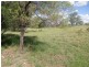 407 Lanfeef Road, Roma QLD 4455