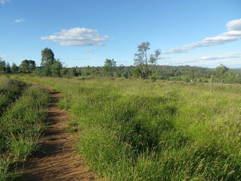 407 Lanfeef Road, Roma QLD 4455
