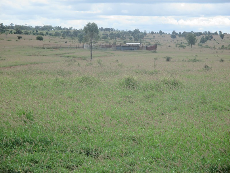 1126 Orallo Road, Roma QLD 4455