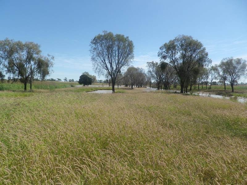 0 Roma Southern Road, Roma QLD 4455