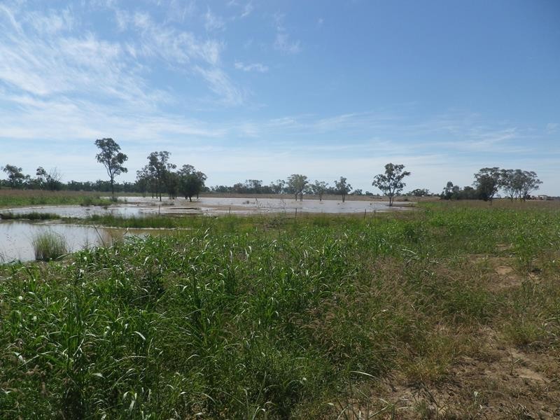 0 Roma Southern Road, Roma QLD 4455