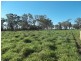 Lot 5 WV355, Roma QLD 4455