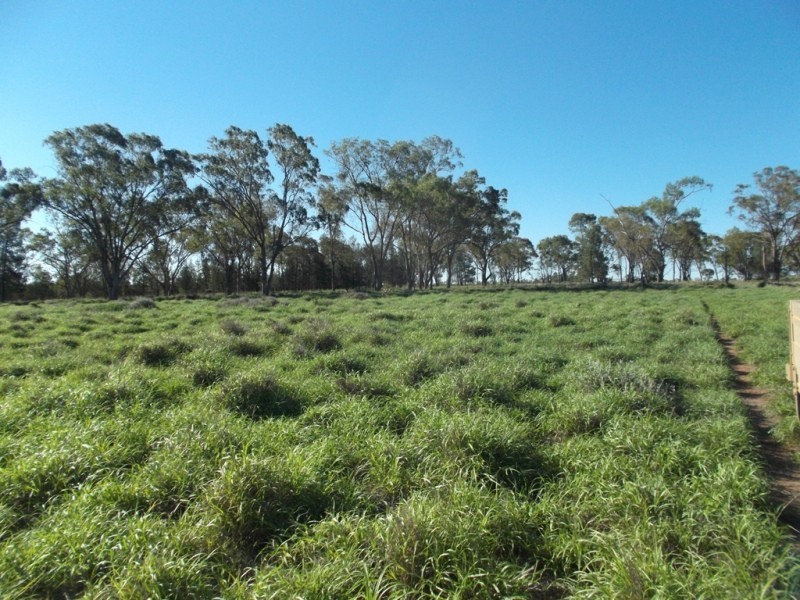 Lot 5 WV355, Roma QLD 4455