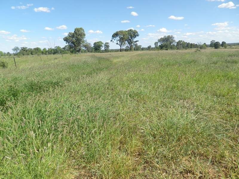Lot 5 WV355, Roma QLD 4455