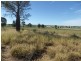 90 Emoh Ruo Road, Roma QLD 4455