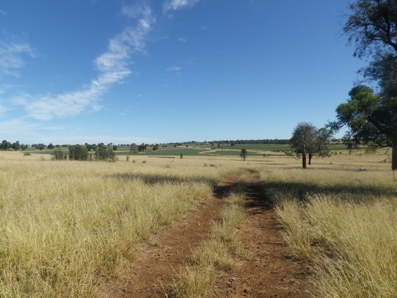 90 Emoh Ruo Road, Roma QLD 4455