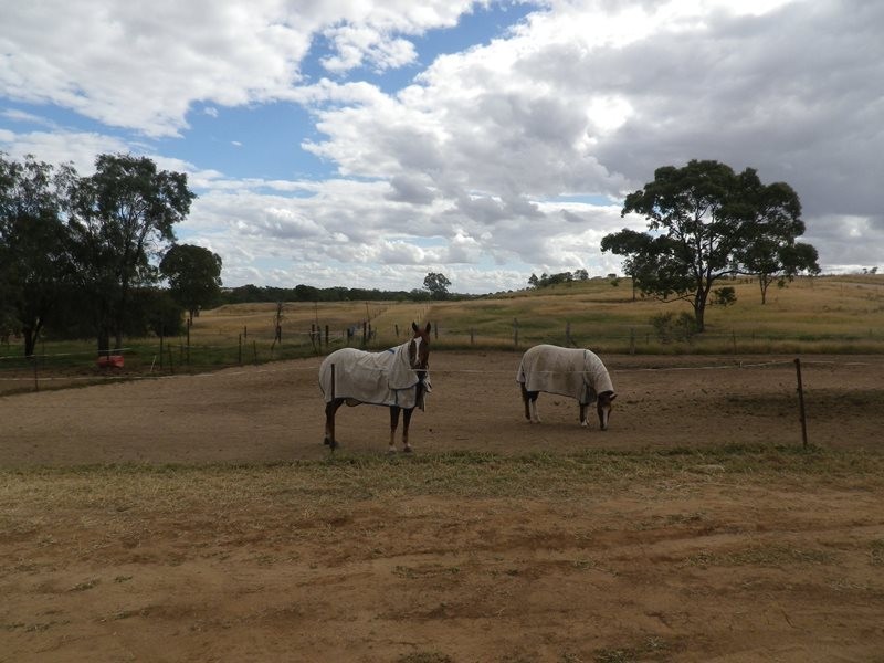 302 Gehardts Lane, Roma QLD 4455