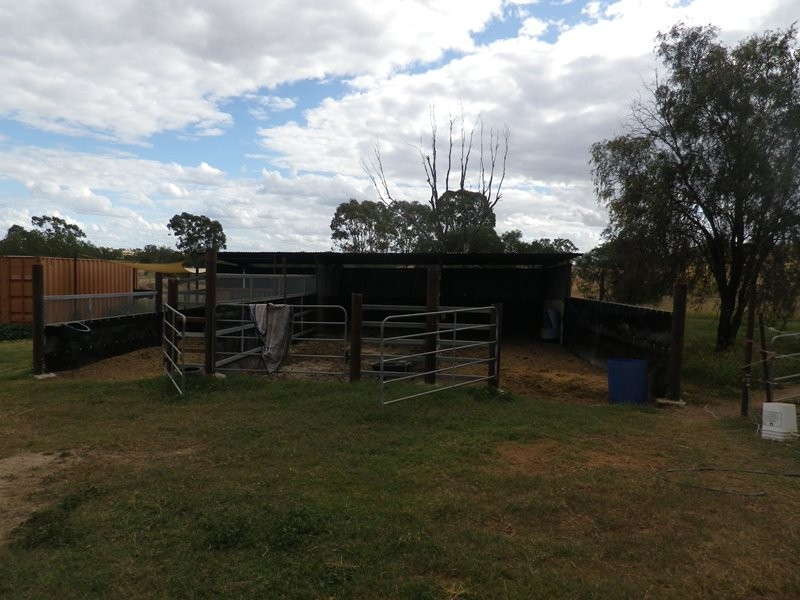 302 Gehardts Lane, Roma QLD 4455
